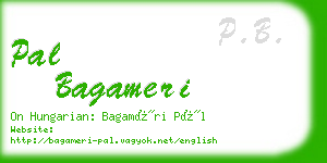 pal bagameri business card